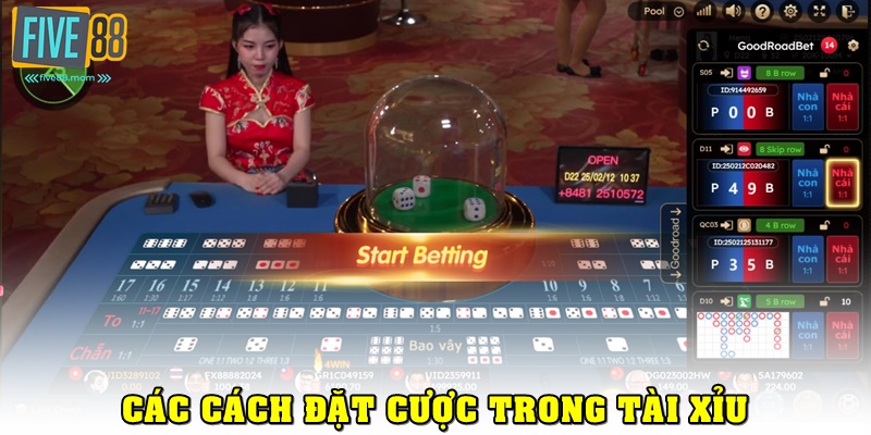 Các loại hình cược trong Tài xỉu FIVE88