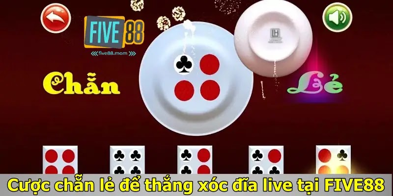 Cược chẵn lẻ để thắng xóc đĩa live tại FIVE88